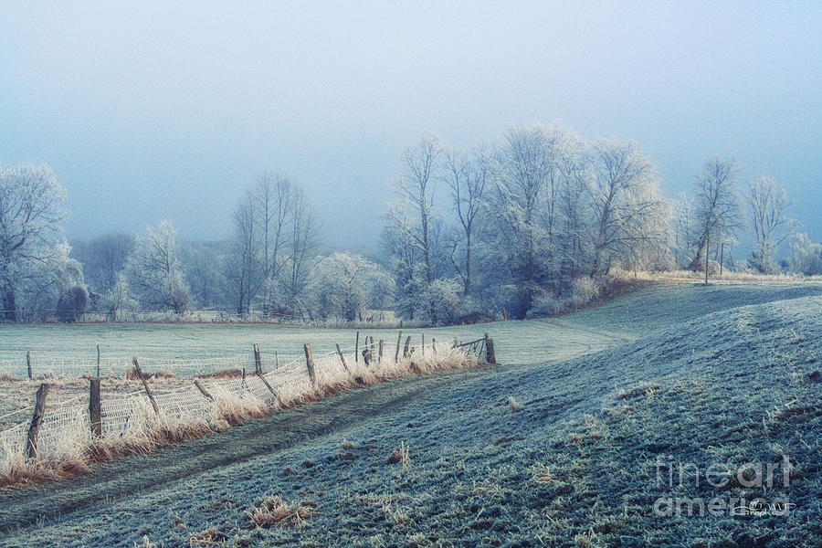 Hoar Frost Photograph by Jutta Maria Pusl