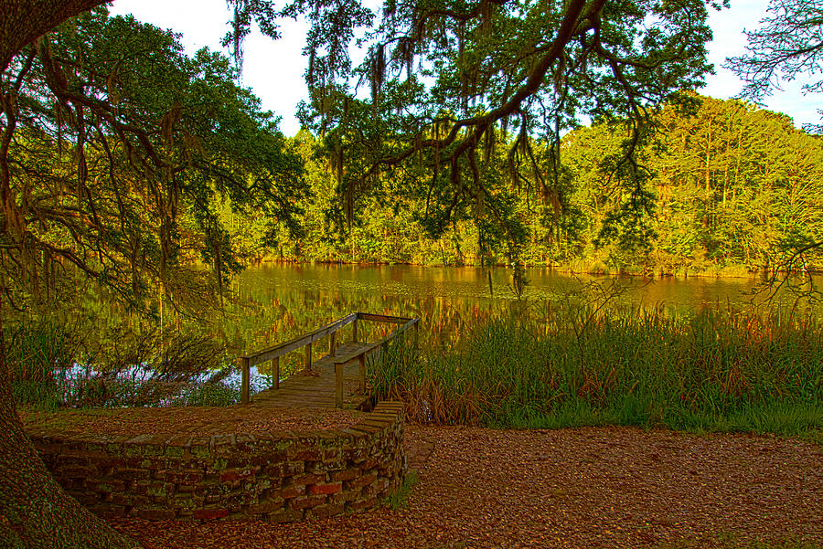 Hobcaw Barony Pond Photograph by Bill Barber