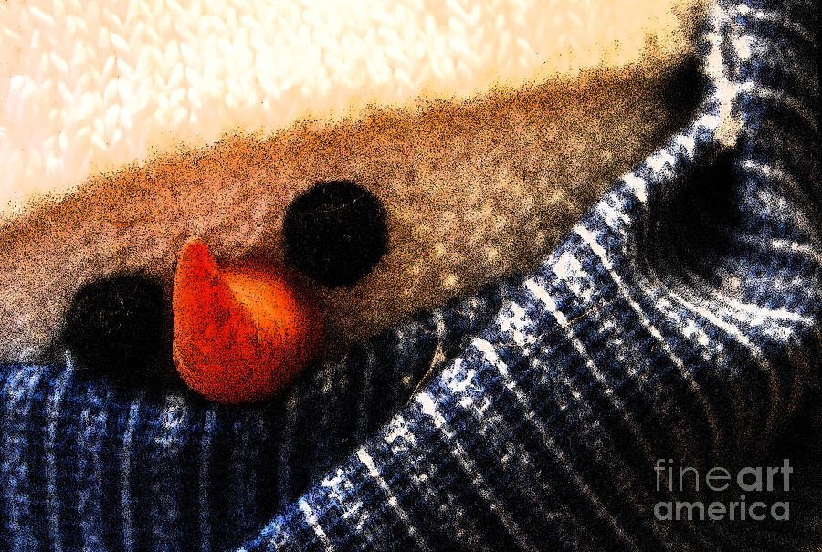 Hobo Snowman Closeup III Photograph by Jani Freimann