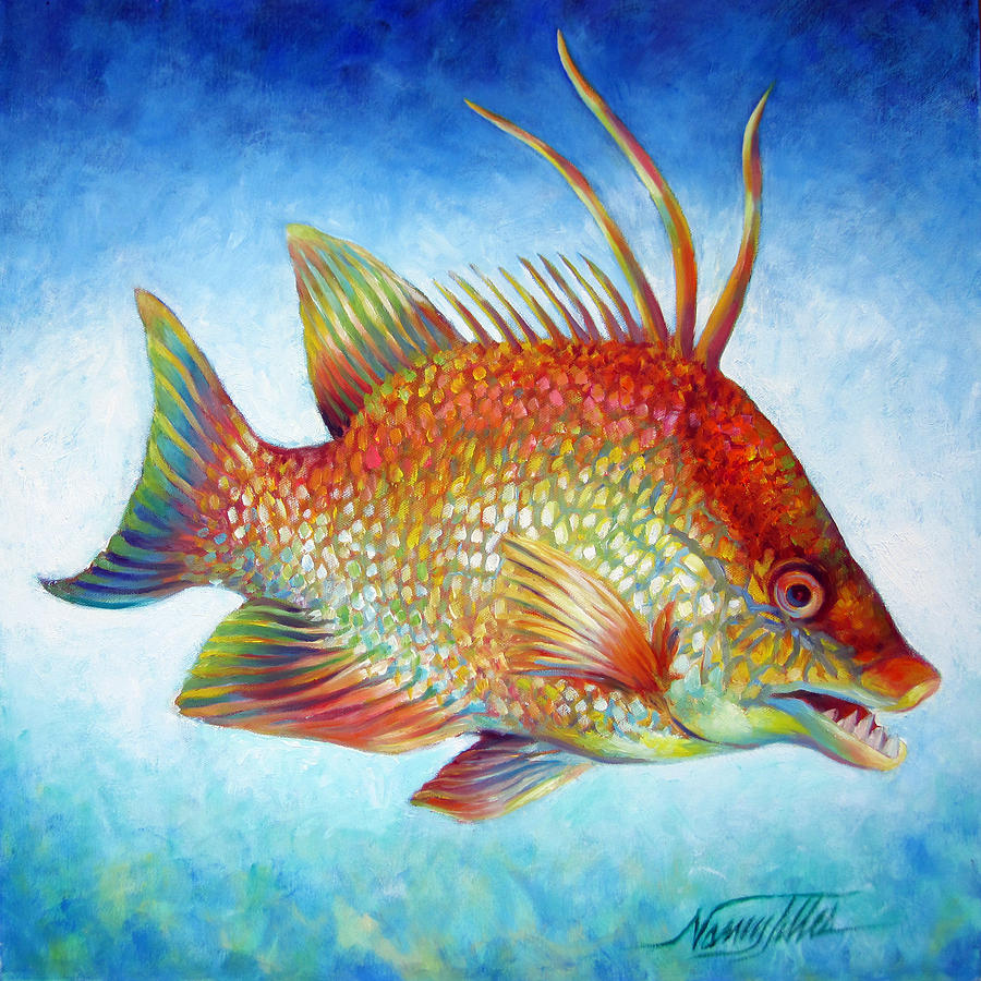 Hogfish Snapper Painting by Nancy Tilles