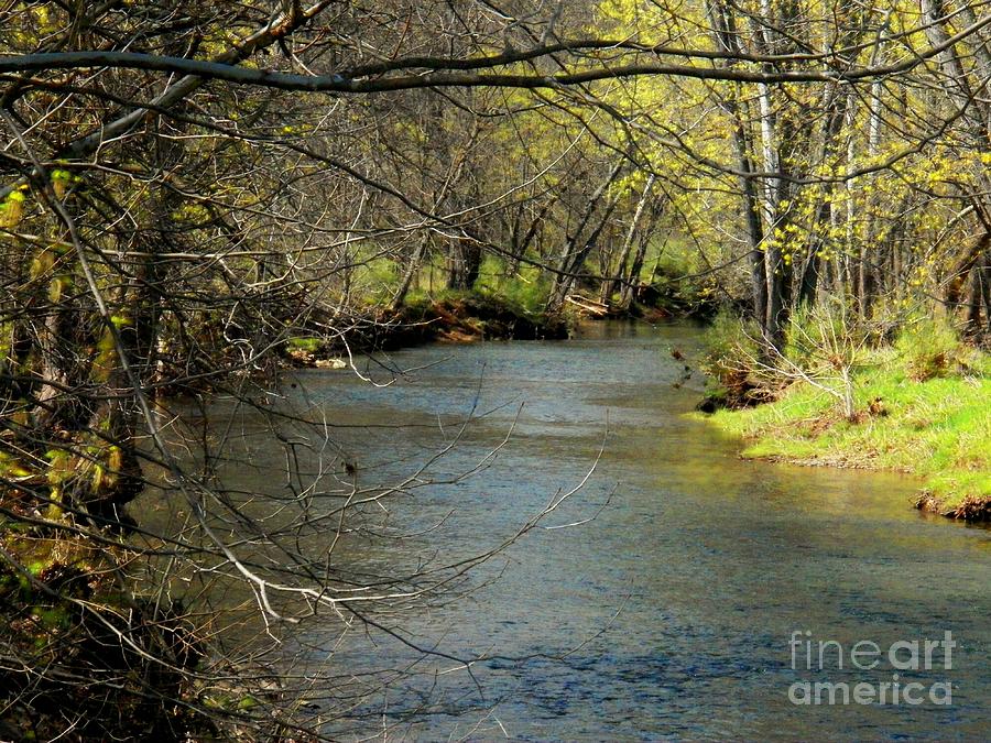 Hogue Creek  Photograph by Joyce Kimble Smith