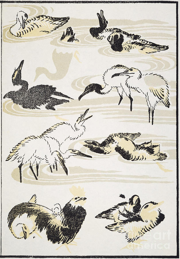 Birds, 1817 Drawing by Katsushika Hokusai