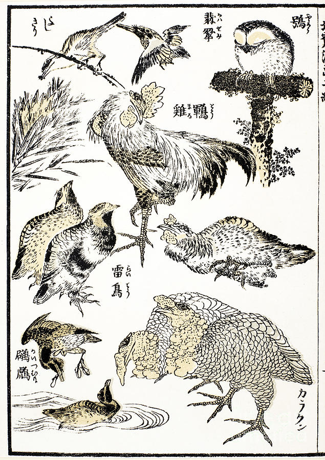 Hokusai: Birds Photograph by Granger