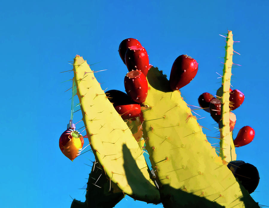Christmas Photograph - holiday Cactus 1 by Lou  Novick