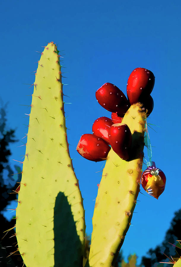 Holiday Cactus 2 Photograph by Lou  Novick