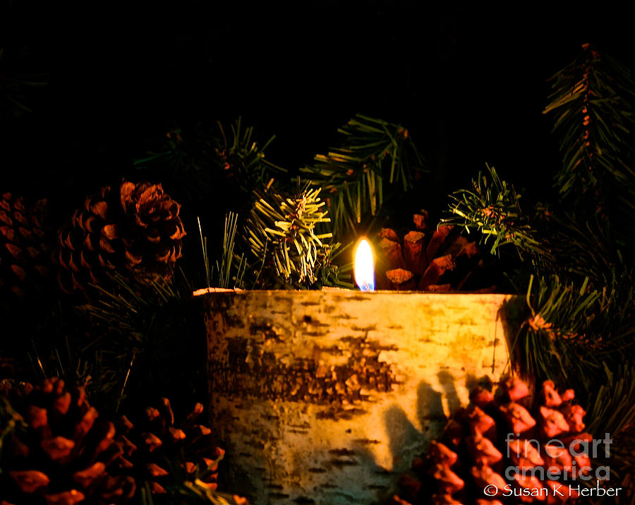 Holiday Flame Photograph by Susan Herber