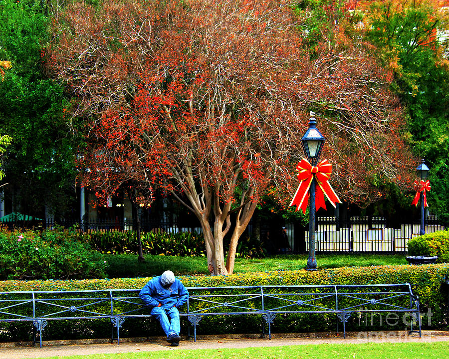 Holiday In Jackson Square Photograph by Perry Webster