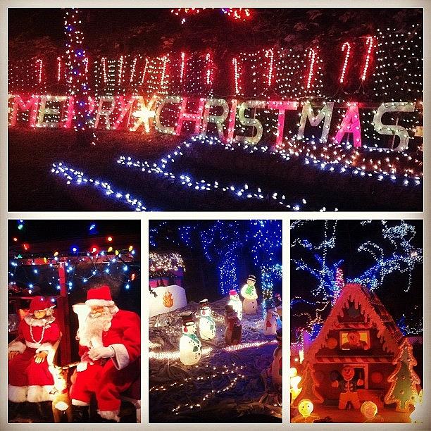 Holiday Photograph - #holiday #xmas #vancouver #instagram by Victor Wong