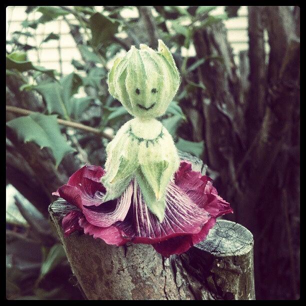 Doll Photograph - Holly Hock Fairy #hollyhock #doll by Melissa Lutes
