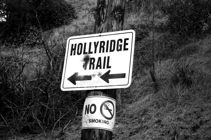 La La Land Photograph - HollyRidge Trail by Jera Sky