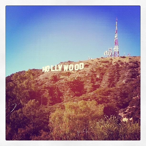 Sign Photograph - Hollywood Sign by Carlos Shabo