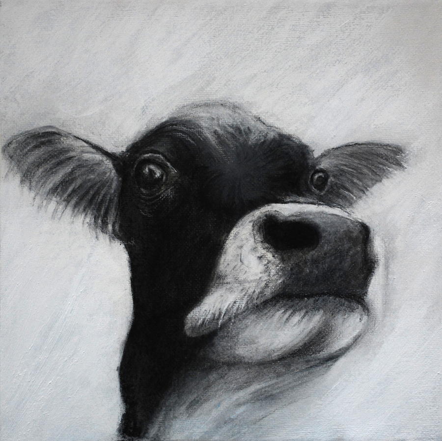 Holy Cow Drawing by Lynn Hughes