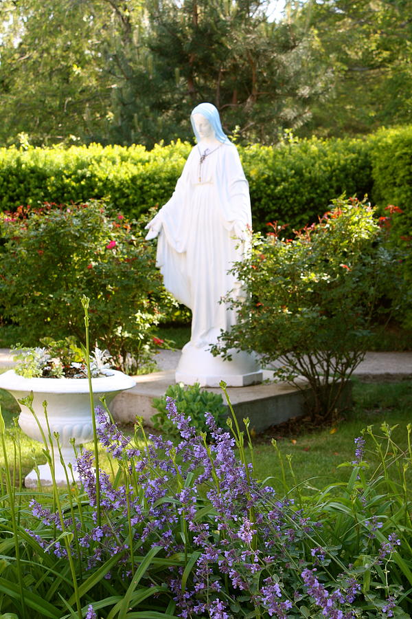 Holy Mary's Garden Photograph by Robin Regan