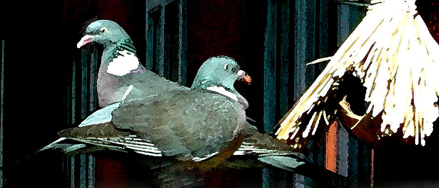 Holy Pigeon Couple Mates for ever enjoy the Garden peace Mixed Media by Colette V Hera Guggenheim