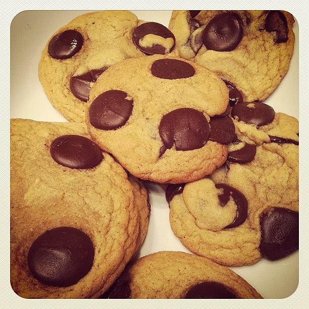 Homemade Heavenly Chocolate Disc Cookies Photograph by Javier Sanchez
