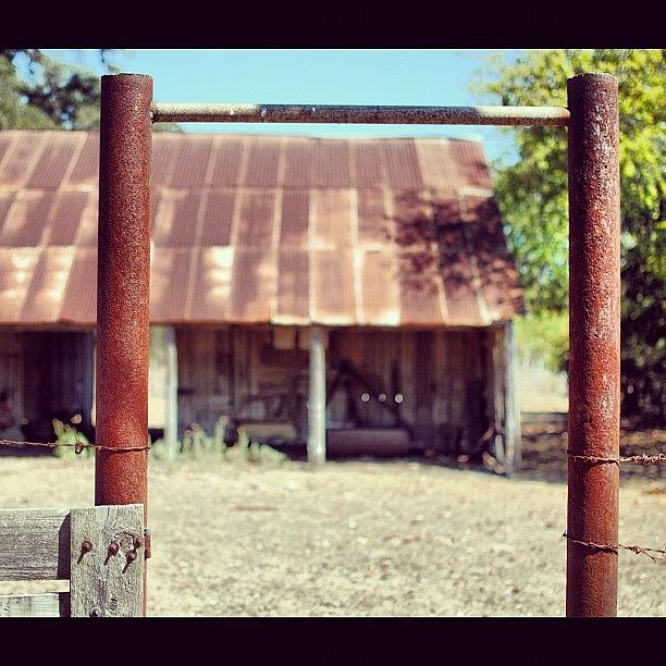Barn Photograph - Homeward Bound! Thanks For A Great Year by Victoria Haas