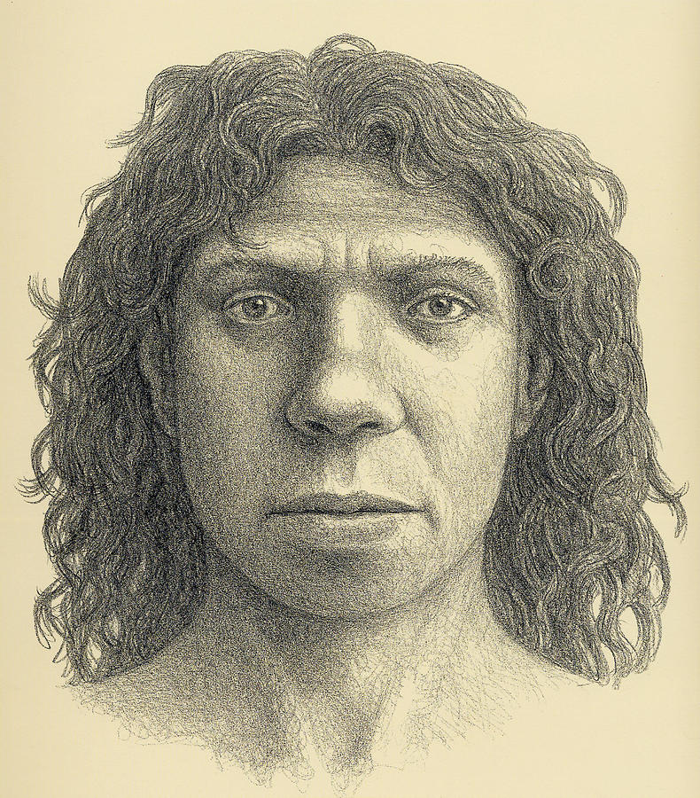 Homo Heidelbergensis Female Photograph By Mauricio Anton