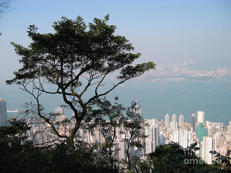 Hong Kong Victoria Peak Digital Art by Eva Kaufman - Fine Art America