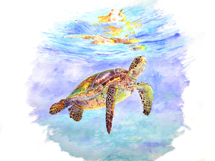 Honu Painting by Tamara Tavernier - Fine Art America