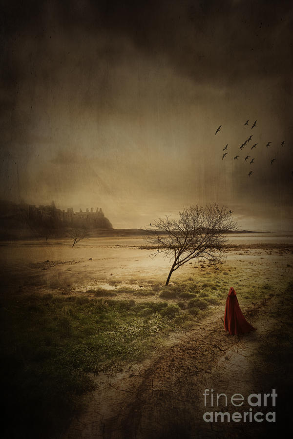 Hooded figure walking in bleak landscape Photograph by Sandra Cunningham