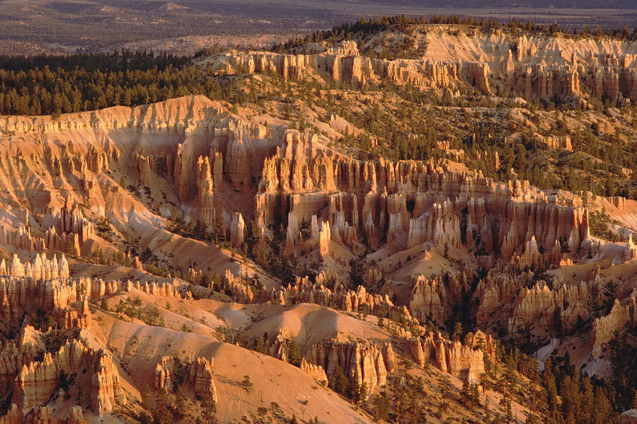 Hoodoo Formations In Bryce Amphitheater Photograph by Gerry Ellis
