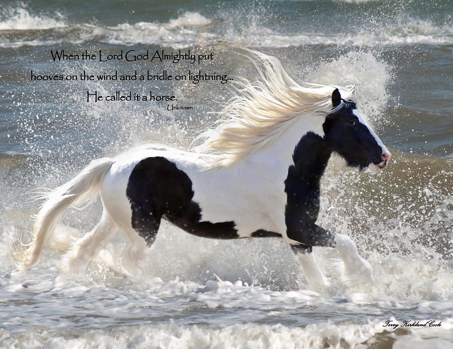 Hooves on the Wind Photograph by Terry Kirkland Cook