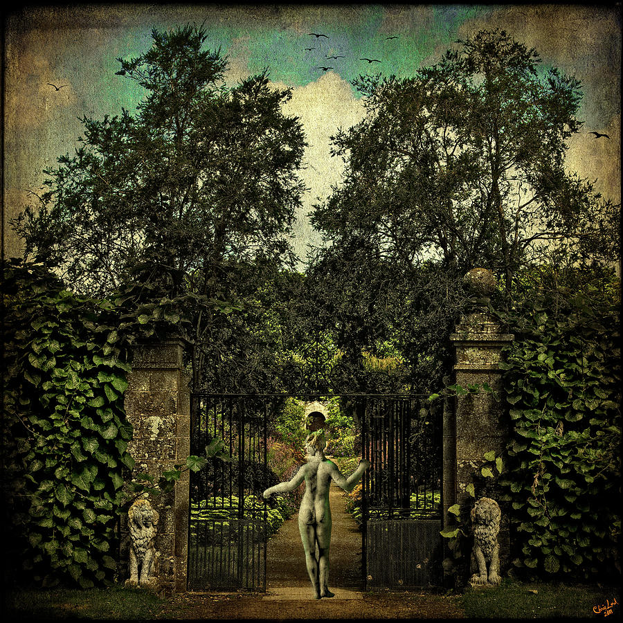 Tree Photograph - Hope Arrives At The Garden Gate by Chris Lord
