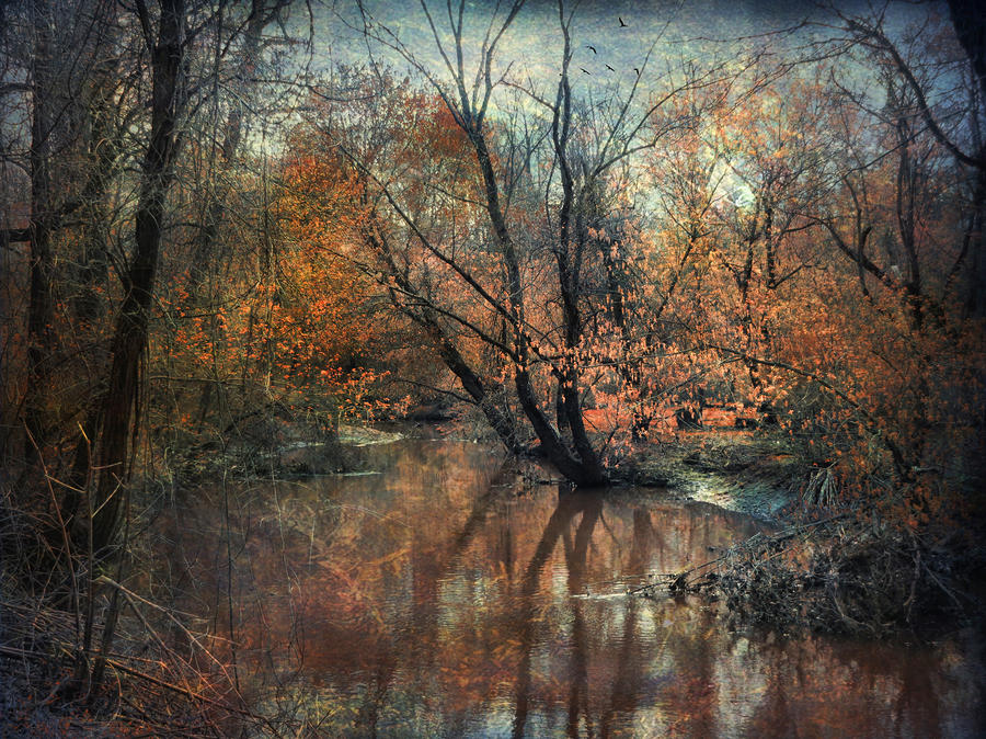 Hopkins Pond Photograph by John Rivera
