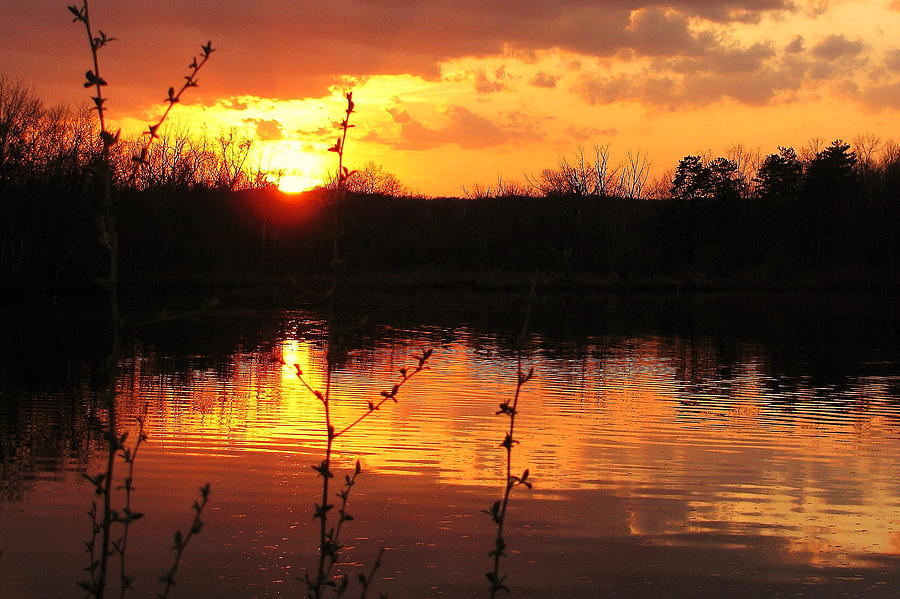 Horn Pond Sunset 8 Photograph by Jeff Heimlich