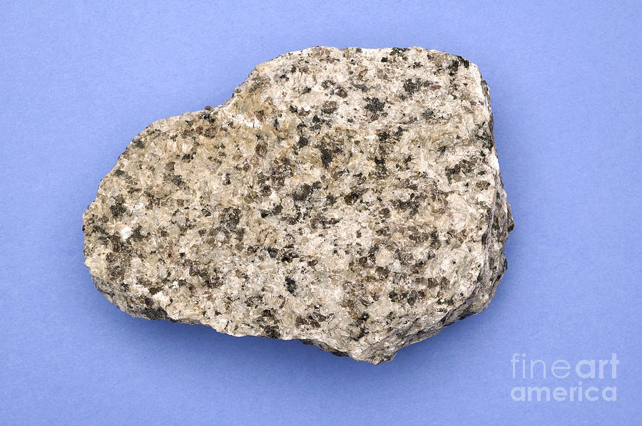 Hornblende Granite Photograph by Ted Kinsman
