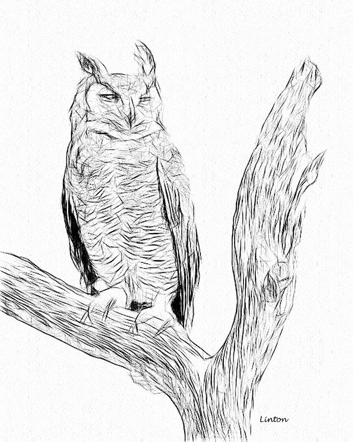 Horned Owl Digital Art by Larry Linton