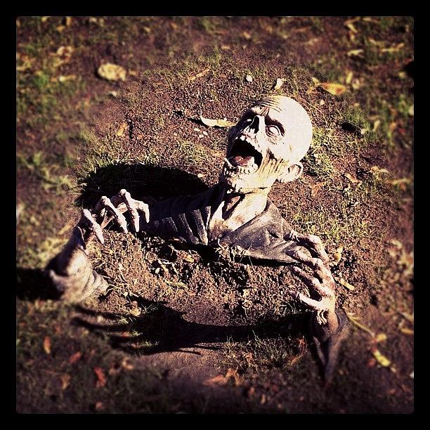 Chicago Photograph - Horrifying! #halloween #iphoneography by Chuck Oliva