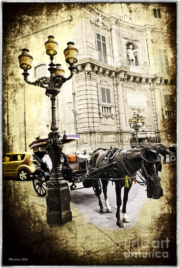 Horse and Buggy - Palermo Photograph by Madeline Ellis
