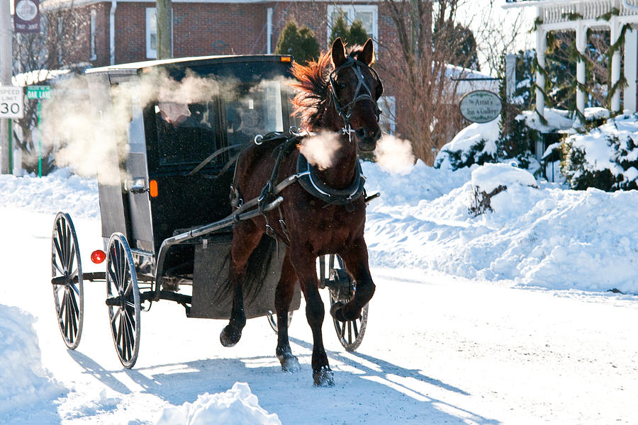 Horse And Buggy In The Snow Photograph by Craig Leaper