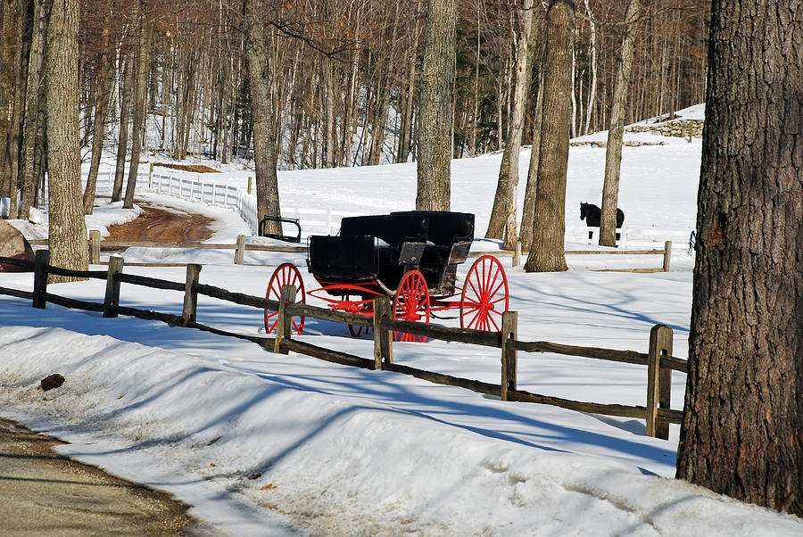 Winter Photograph - Horse and Buggy - No Work Today by Janice Adomeit