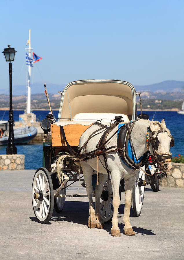 Horse and buggy on Spetses Photograph by Paul Cowan