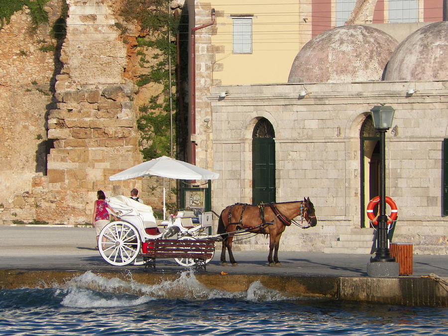 Summer Photograph - Horse and carriage by B Russo