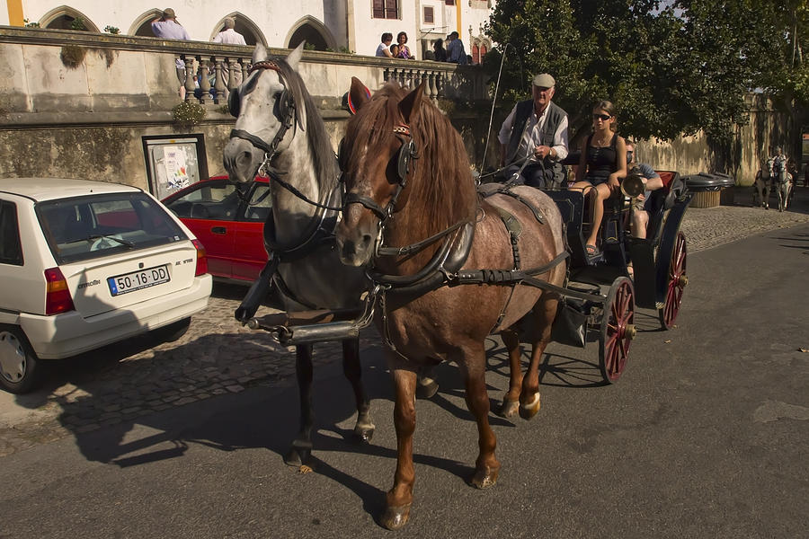 Horse and Carriage in rural Portugal Photograph by Sven Brogren