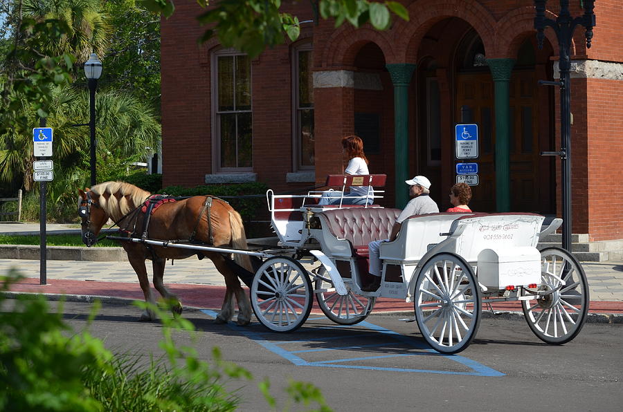 Horse And Carriage Photograph By Lawton Vaughan Fine Art America