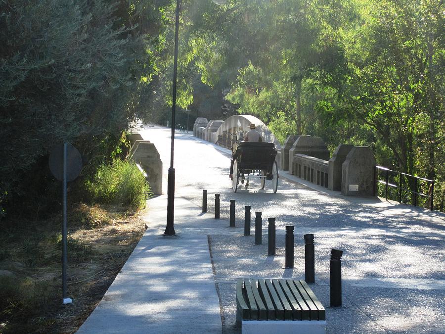 Horse and Carriage on the Pathway Entrance to Olympia Archaeological Site in Greece Photograph by John Shiron