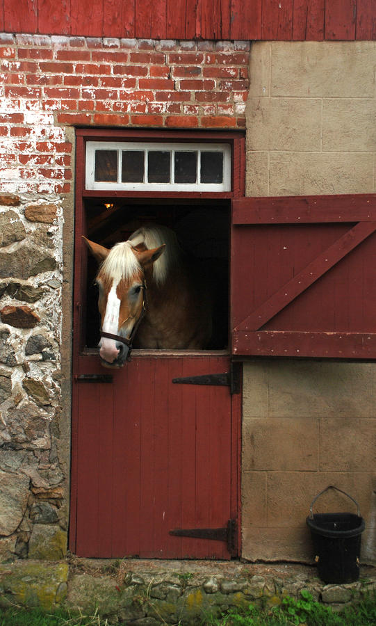 Horse Photograph - Horse and Stable by Richard Bryce and Family
