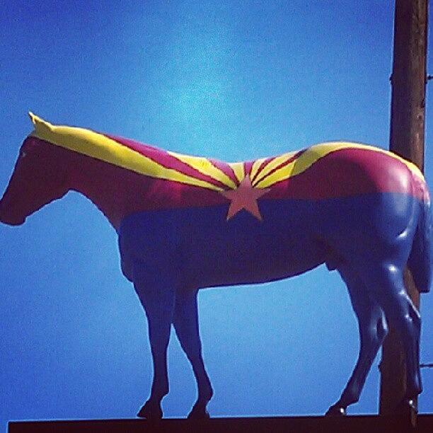 Scottsdale Photograph - #horse #arizona #scottsdale by Dave Moore