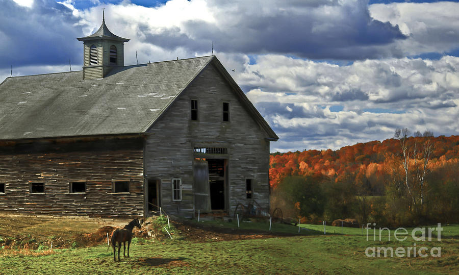 Fall Photograph - Horse Barn by Brenda Giasson