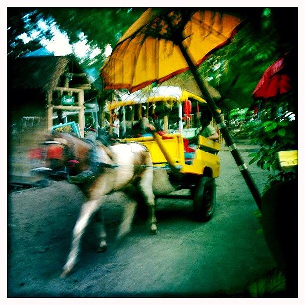 Gilit Photograph - Horse Carriage On #gilit by Jayme Rutherford