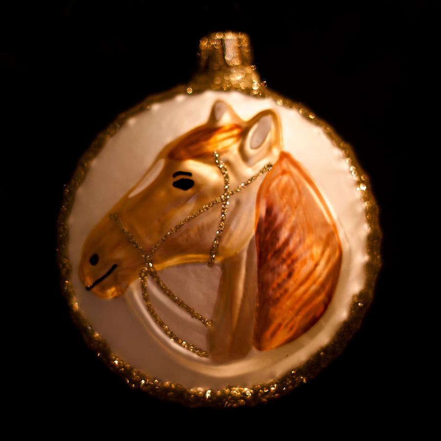 Horse Christmas Ornament Photograph by David Patterson - Fine Art America