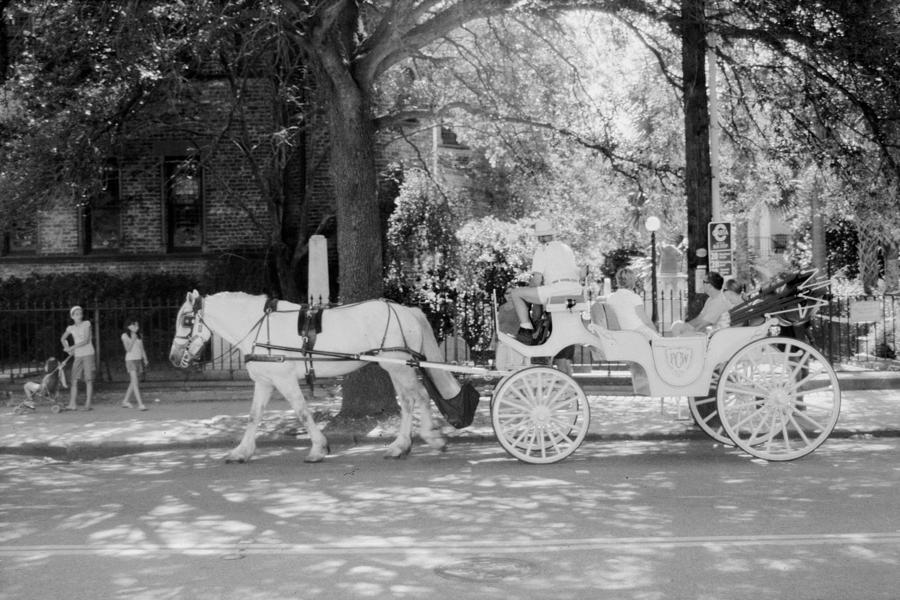 Horse Drawn Carriage  Photograph by Emery Graham
