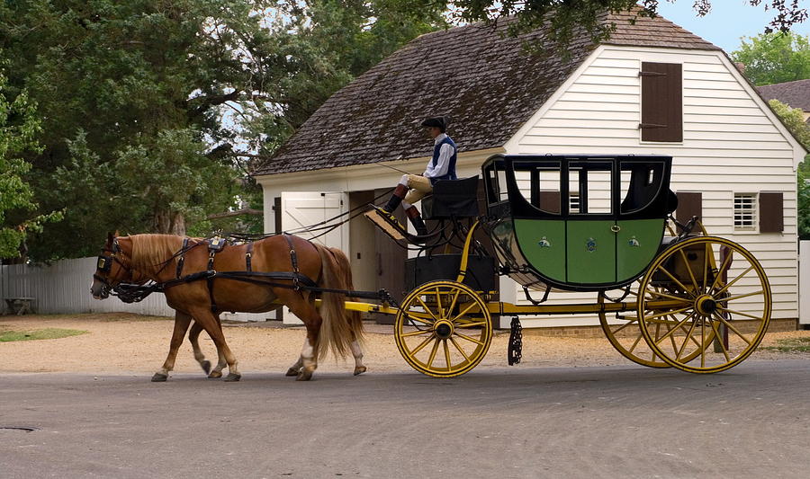 Horse-drawn Carriage Photograph by Sally Weigand