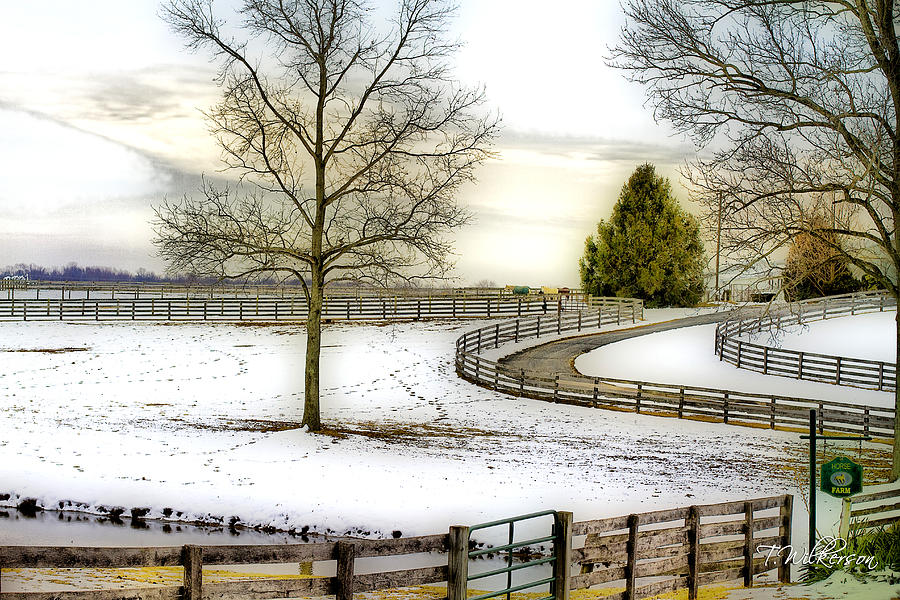 Horse Farm in Winter Photograph by Trudy Wilkerson