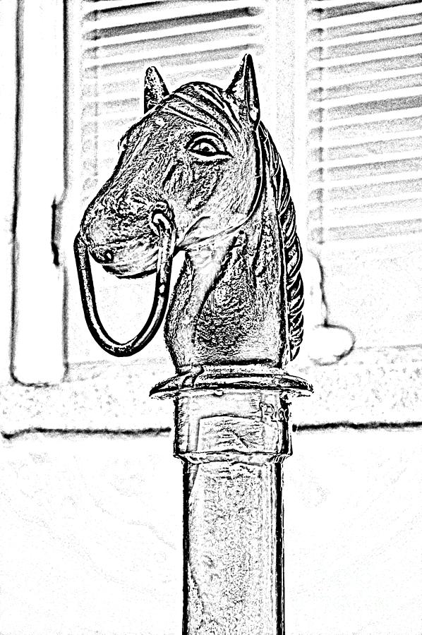 New Orleans Digital Art - Horse Head Hitching Post Macro French Quarter New Orleans Black and White Photocopy Digital Art by Shawn OBrien