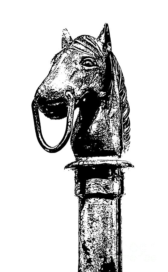 Horse Head Hitching Post Macro French Quarter New Orleans Black and White Stamp Digital Art Digital Art by Shawn OBrien